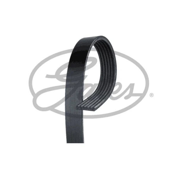 Ремень поликлиновой Gates 6PK1019SF
